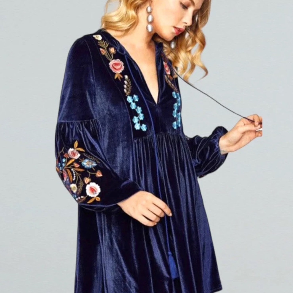 Zara Navy Velvet Dress with Multicolor Embroidery XS